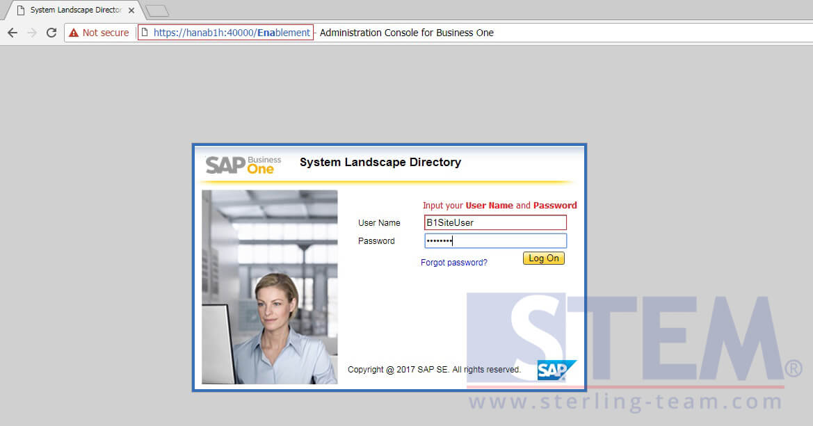 SAP_BusinessOne_Tips-STEM-Activate Pervasive Analytics on HANA_01