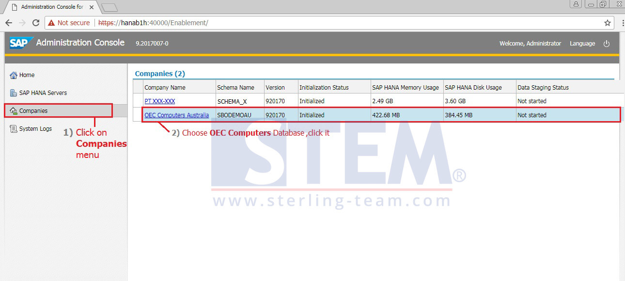 SAP_BusinessOne_Tips-STEM-Activate Pervasive Analytics on HANA_02