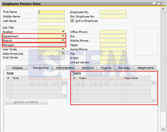 SAP_BusinessOne_Tips-STEM-Data Ownership_Setup_01