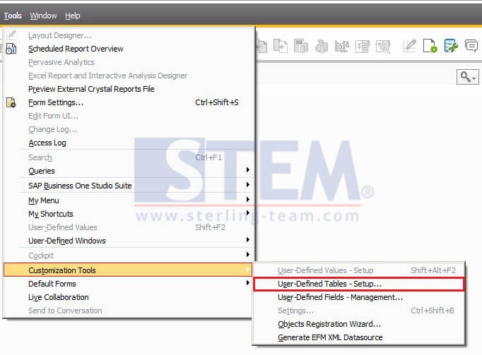 SAP_BusinessOne_Tips-STEM-Enhancement on User Defined Tables SAP B1_03