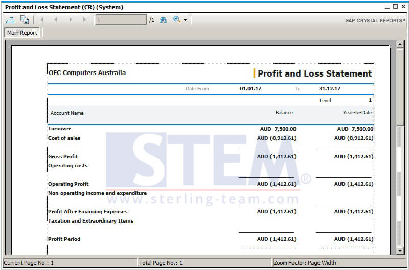 Profit and Loss Statement