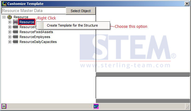 Generate a Template with Data Transfer Workbench