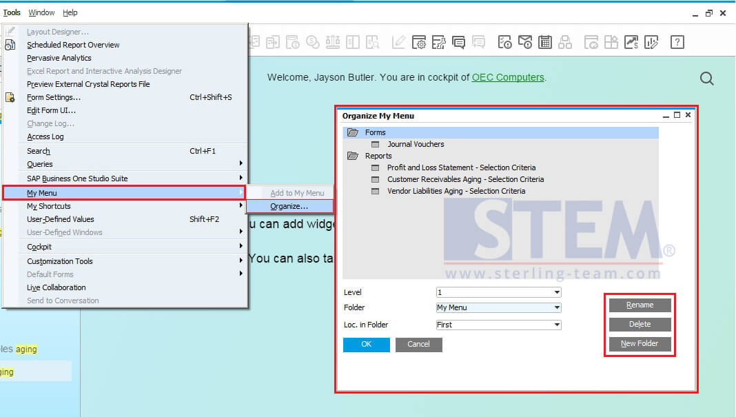 Set and Organize My Menu on SAP B1