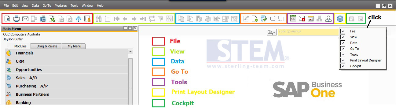 Tool bar on SAP Business One