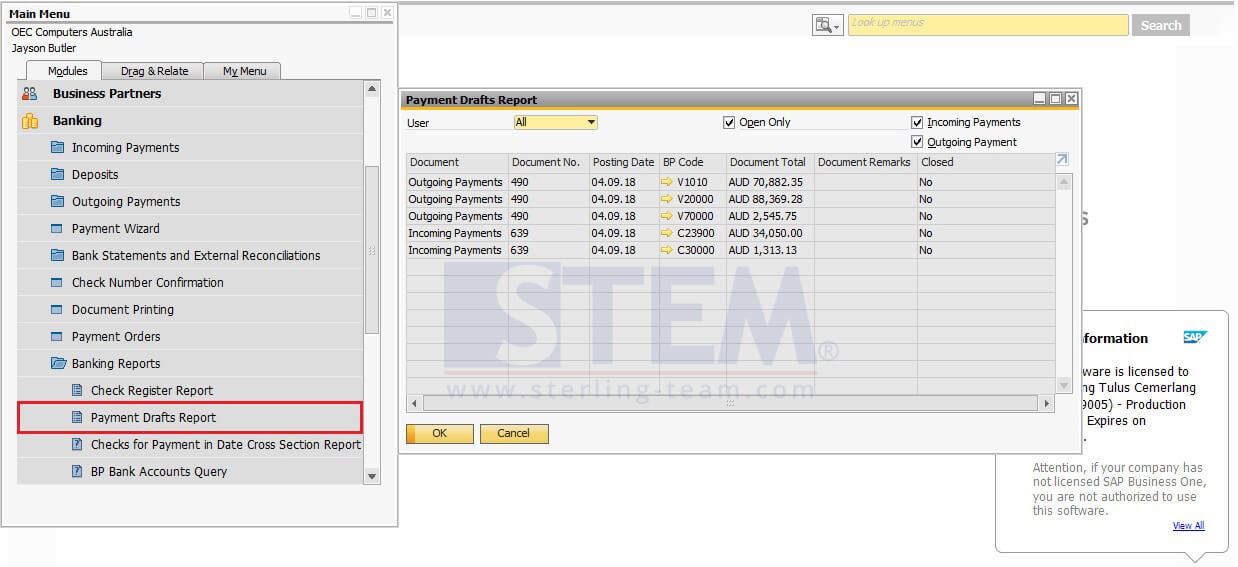 Preview Your Document from Payment Drafts Report