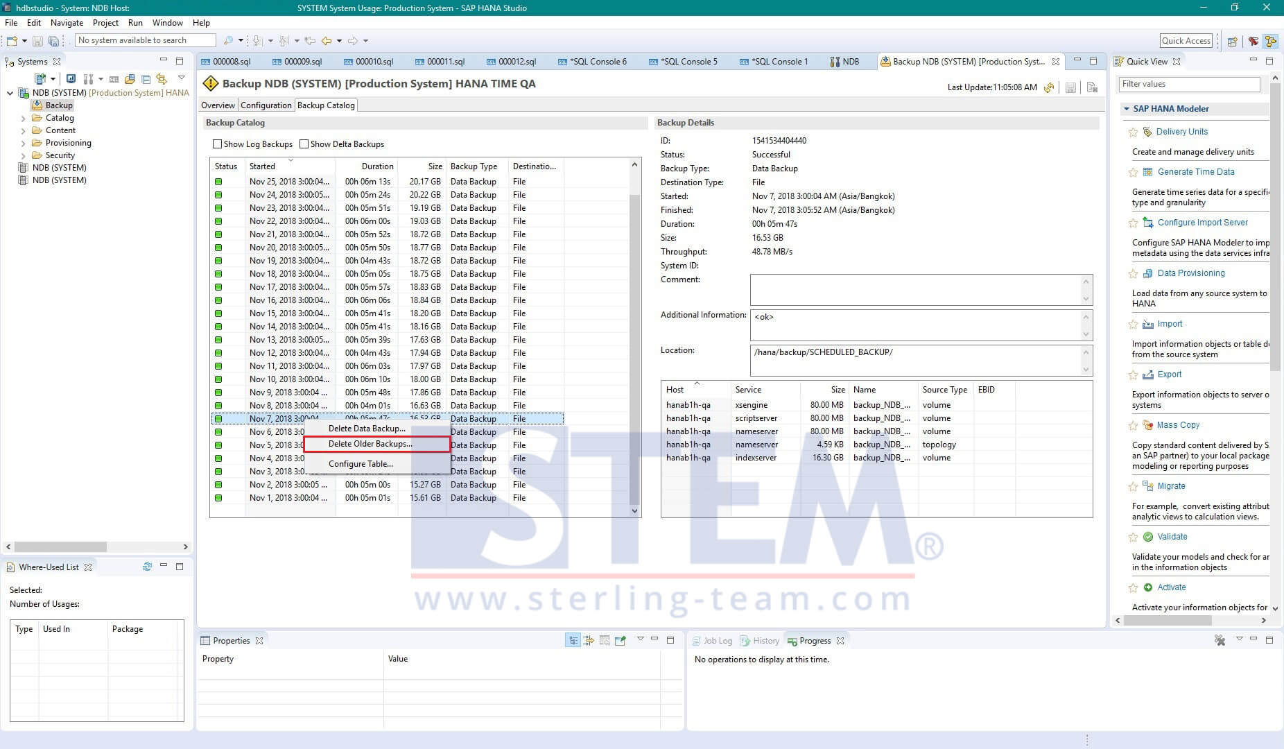 Clean Backup Log on SAP HANA Server with SAP HANA Studio