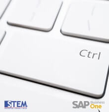 Change Field Name using Ctrl + Double Click in SAP Business One - SAP Business One Tips