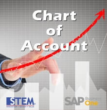 Chart Of Account in SAP Business One version 9.2 up to 10 Levels - SAP Business One Tips