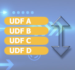Customizing Your UDF Position on SAP B1