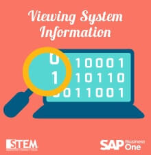 Menampilkan Sistem Informasi di sap business one