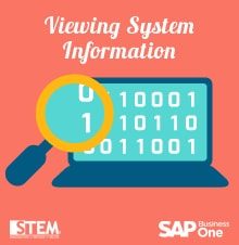 Viewing System Information in SAP Business One - SAP Business One Tips