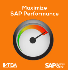 Jangan Impor File RPT di Menu AddOn untuk Memaksimalkan Performa SAP