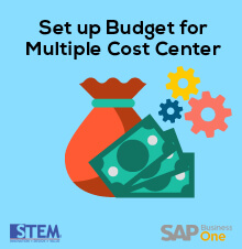 Set Up Your Budget For Multiple Cost Center in SAP Business One -SAP Business One Tips