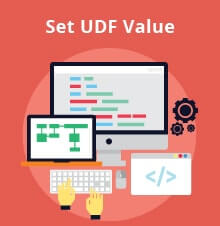 Alternative Way to Set UDF Value in Matrix for SAP Business One - SAP Business One Tips