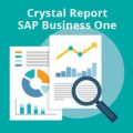 Parameter Spesial untuk Multiple Dynamic Database dalam Crystal Report untuk SAP Business One HANA