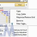 Cara menggunakan Maximize Restore Grid di SAP Business One Financial Report