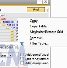 Cara menggunakan Maximize Restore Grid di SAP Business One Financial Report