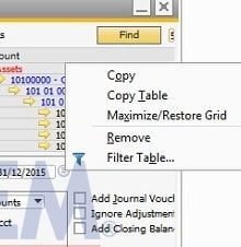 How to use Maximize Restore Grid in SAP Business One Financial Report - SAP Business One Tips