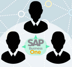 Cara Mengetahui Active User di SAP Business One