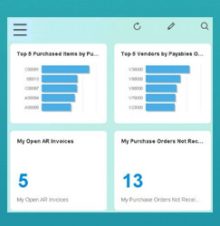 Memilih Tema Cockpit untuk SAP Business One HANA Anda