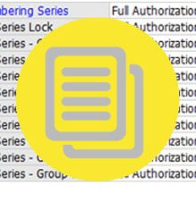 Menentukan Otorisasi Numbering Series di SAP Business One