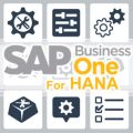 Customisasi Enterprise Search di SAP Business One versi HANA 9.1 dan Setelahnya