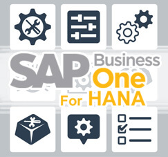 Customisasi Enterprise Search di SAP Business One versi HANA 9.1 dan Setelahnya