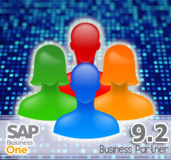 New Business Partner Data Ownership in SAP Business One 9.2