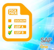 Custom Field (UDF) Sebagai Kriteria Pemilihan Pada Pick & Pack Manager