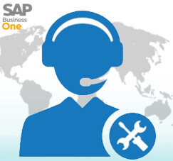 Penggunaan User Support SAP Business One