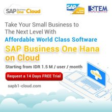 STEM - SAP Business One Hana on Cloud