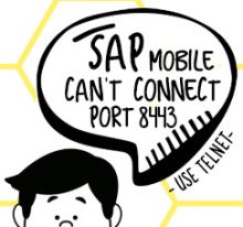 SAP Mobile Tidak Berhasil Terhubung ke Server