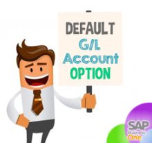 Pilihan Pengaturan G/L Account di SAP