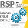 Setup Database Backup Schedule with RSP