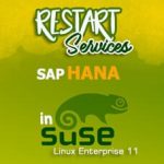 Restart Service SAP HANA di SuSE Linux