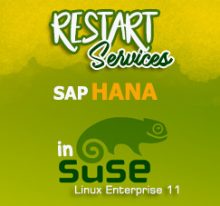 Restart SAP HANA related services in SuSE Linux Enterprise 11 SP 4 OS with PuTTy