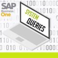 Memanfaatkan System Queries di SAP