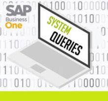 Memanfaatkan System Queries di SAP