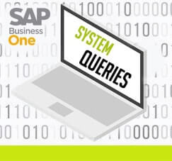 Memanfaatkan System Queries di SAP