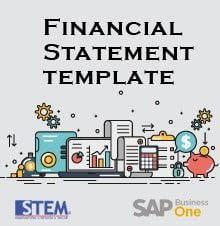 Create Your Own Financial Statement Template on SAP Business One - SAP Business One Tips