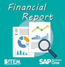 You can have financial report before and after audit adjustment in SAP Business One - SAP Business One Tips