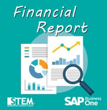 You can have financial report before and after audit adjustment in SAP Business One - SAP Business One Tips