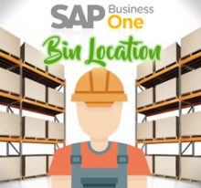 Bin Location Feature on SAP B1