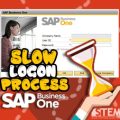 Proses Login SAP Lebih Lama dari Biasanya?