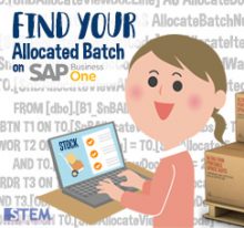 Find Your Allocated Batch Number on Your SAP Business One