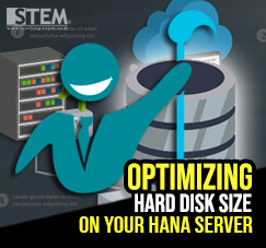 SAP Business One Tips - STEM SAP Gold Partner Indonesia - Optimizing Hard Disk Size on Your HANA Server