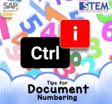 SAP Business One Tips - STEM SAP Gold Partner Indonesia - Easier Way to Add New Document Numbering