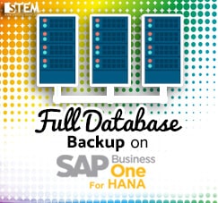 Backup Full Environment dengan SAP HANA Studio