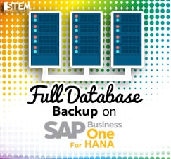 SAP Business One Tips - STEM SAP Gold Partner Indonesia - Full Backup Environment with HANA Studio