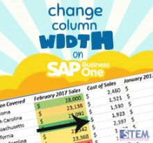 SAP Business One Tips - STEM SAP Gold Partner Indonesia - Change Your Column Width on SAP Business One